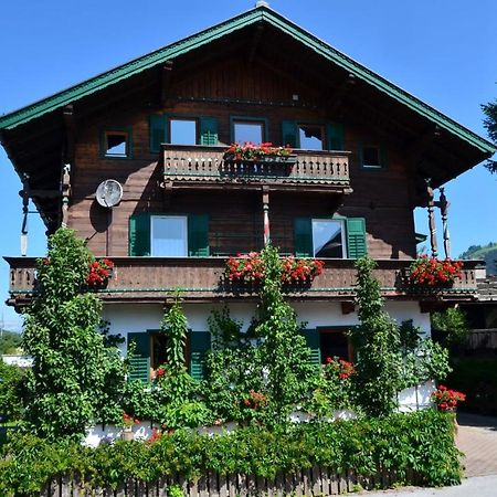 Appartement Wilder Kaiser 基茨比厄尔 外观 照片